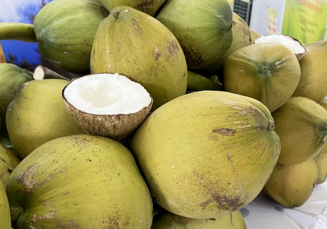 Exports of whole coconuts and coconut-based products are experiencing strong growth. Photo: Son Trang.