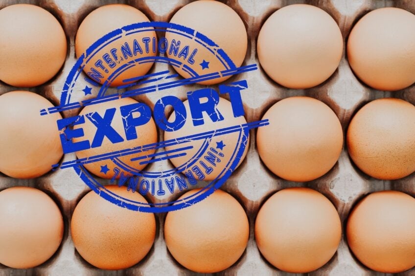 Russia exports eggs primarily to Kazakhstan, Mongolia and the UAE. Photo: Canva. Russia exports eggs primarily to Kazakhstan, Mongolia and the UAE. Photo: Canva.