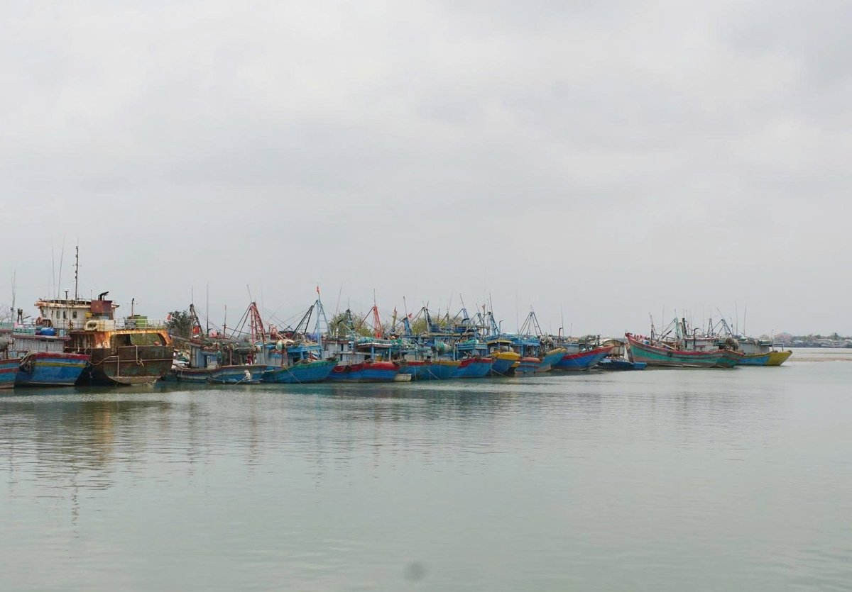 The 12 fisheries that are not recognized as equivalent by the US will greatly affect the livelihoods of many fishermen. Photo: Son Trang. The 12 fisheries that are not recognized as equivalent by the US will greatly affect the livelihoods of many fishermen. Photo: Son Trang.