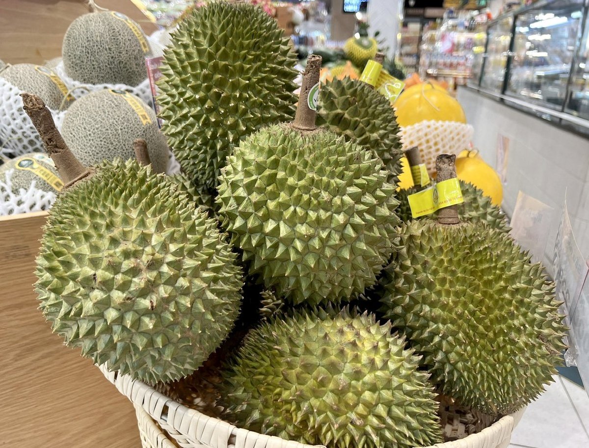 The recovery of durian exports has helped the fruit and vegetable export sector continue to flourish. Photo: Son Trang. The recovery of durian exports has helped the fruit and vegetable export sector continue to flourish. Photo: Son Trang.