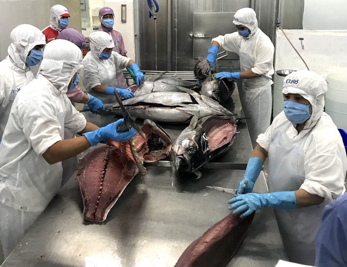 According to Minister Nguyen Hong Dien, the U.S. decision not only affects Vietnamese producers, exporters, farmers, and fishermen but also benefits U.S. importers, workers, and consumers. Photo: Kim So.