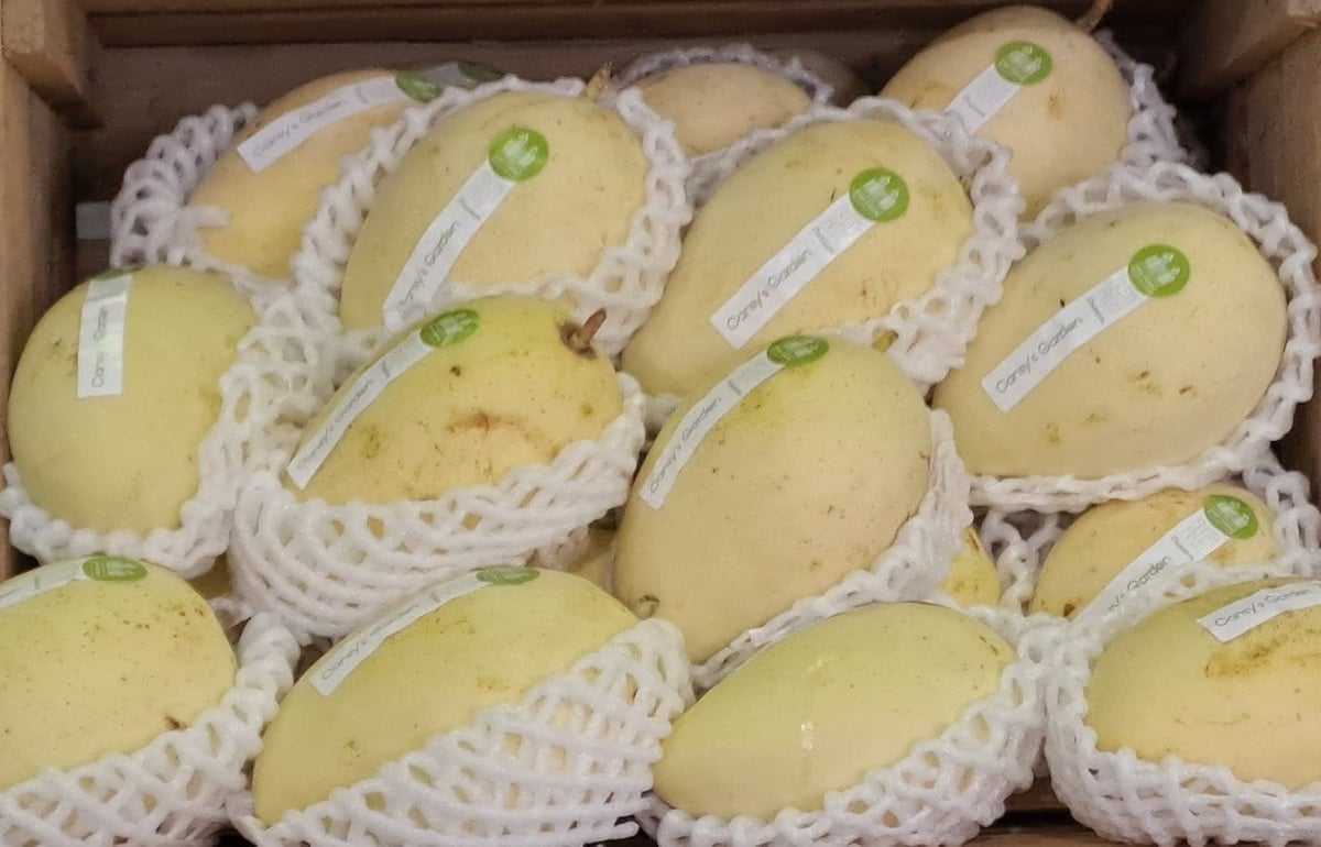 A well-structured strategy is needed to build the brand of Vietnamese agricultural products. Photo: Ha Duyen.