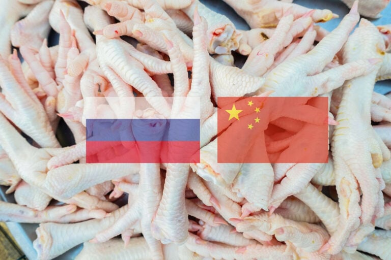 Around 76% of Russian poultry exports to China are chicken feet, a product considered waste in Russia. Photo: Canva. Around 76% of Russian poultry exports to China are chicken feet, a product considered waste in Russia. Photo: Canva.