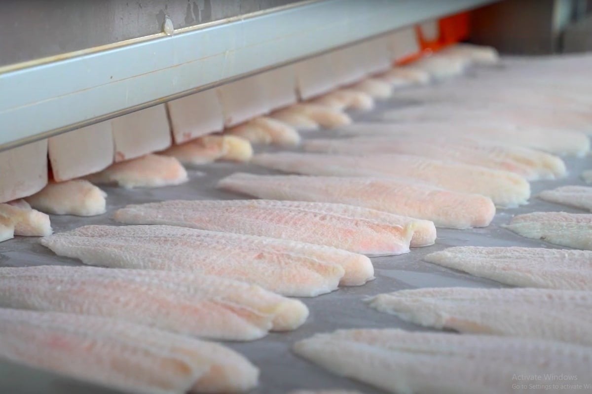 Vietnamese pangasius fillets are the third best-selling whitefish product in the U.S. Photo: Son Trang.