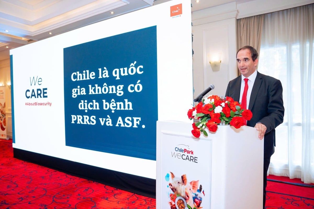 Mr. Juan Carlos Dominguez Covarrubias, President of the Chilean Meat Exporters’ Association (ChileCarne). Photo: Kieu Chi. Mr. Juan Carlos Dominguez Covarrubias, President of the Chilean Meat Exporters’ Association (ChileCarne). Photo: Kieu Chi.