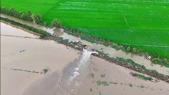 The 155-hectare dike, Phuong Thinh commune, Dong Thap province, broke on October 23. Photo: Nguyen Khanh