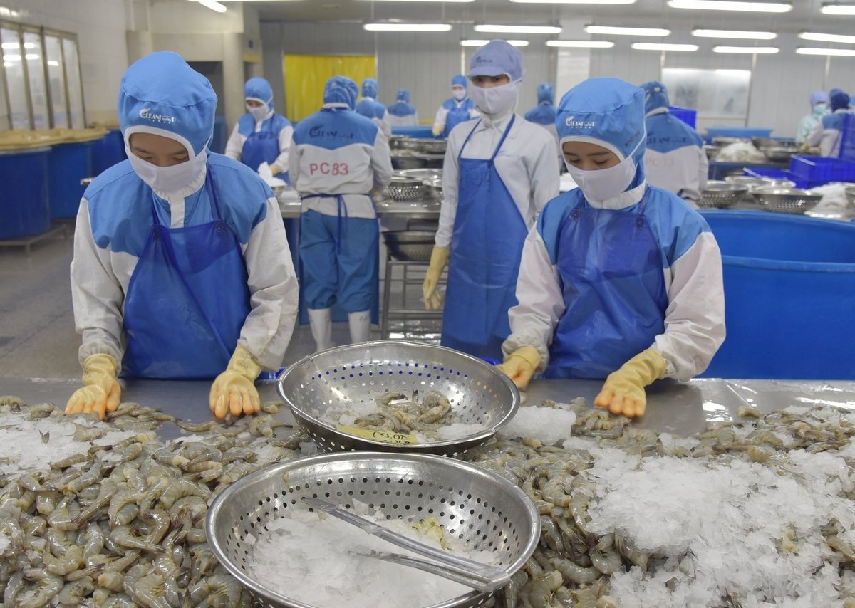 Vietnam’s seafood export turnover in the first nine months of 2025 reached $ 8.11 billion. Photo: Hong Tham Vietnam’s seafood export turnover in the first nine months of 2025 reached $ 8.11 billion. Photo: Hong Tham
