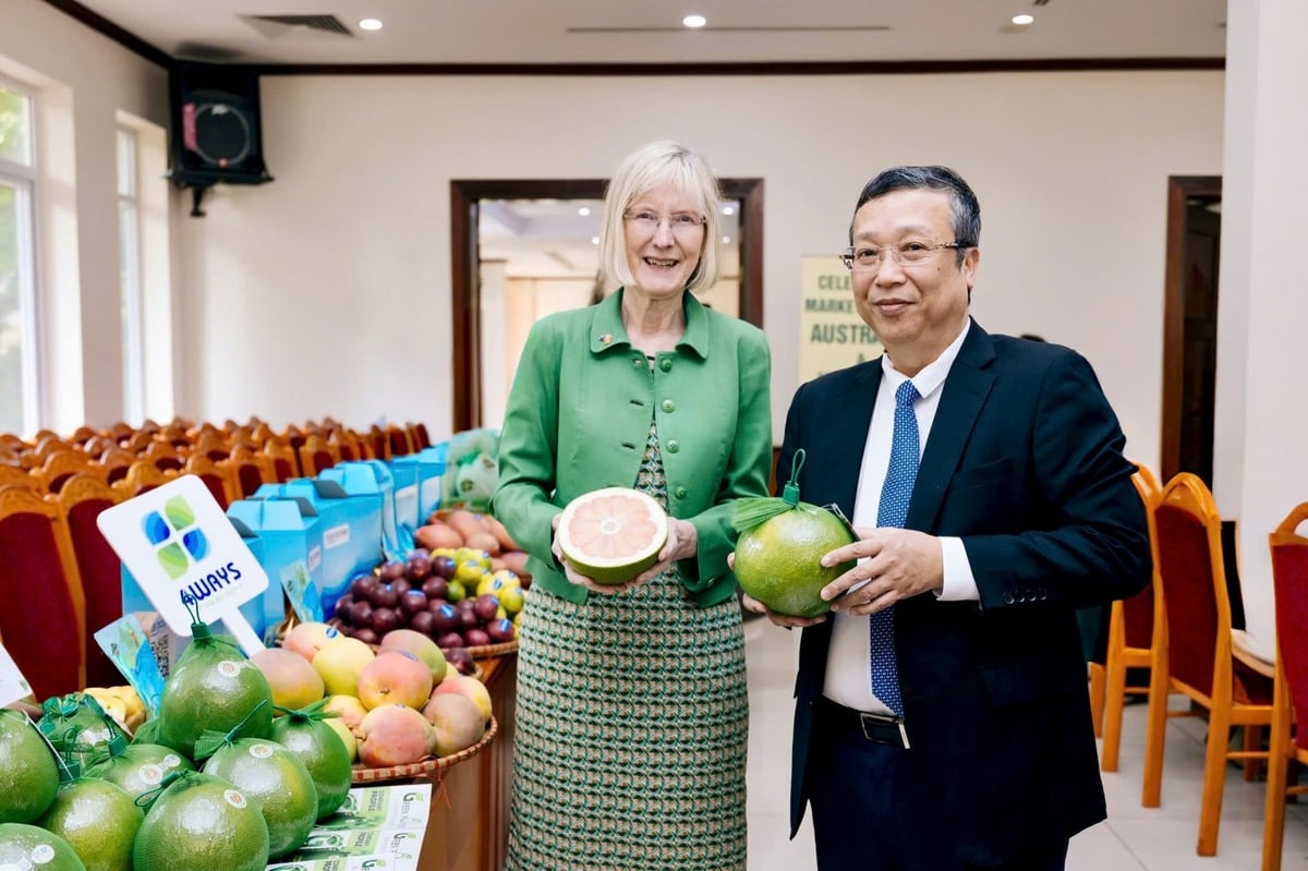 Deputy Minister Hoang Trung and Australia’s Ambassador to Vietnam, Ms. Gillian Bird PSM. Photo: Bao Thang. Deputy Minister Hoang Trung and Australia’s Ambassador to Vietnam, Ms. Gillian Bird PSM. Photo: Bao Thang.