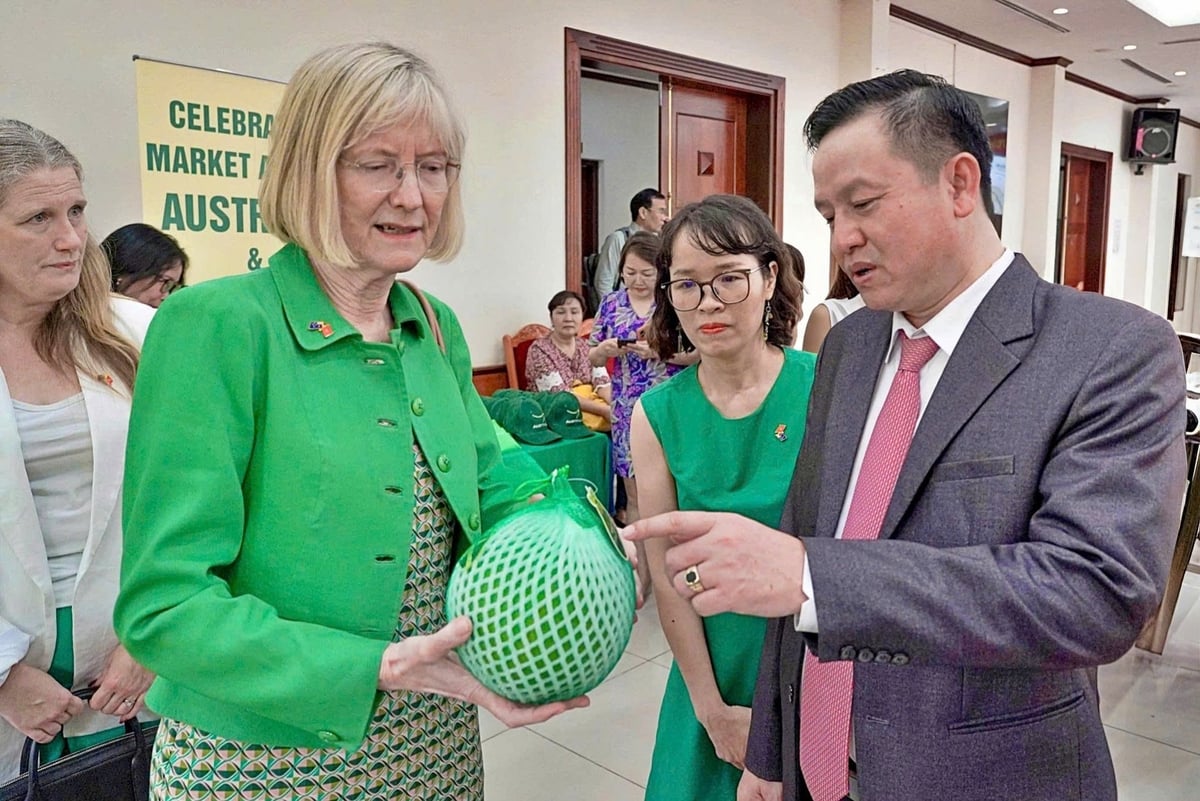 Director Huynh Tan Dat presenting Vietnamese pomelos to the Australian Ambassador. Photo: Bao Thang. Director Huynh Tan Dat presenting Vietnamese pomelos to the Australian Ambassador. Photo: Bao Thang.