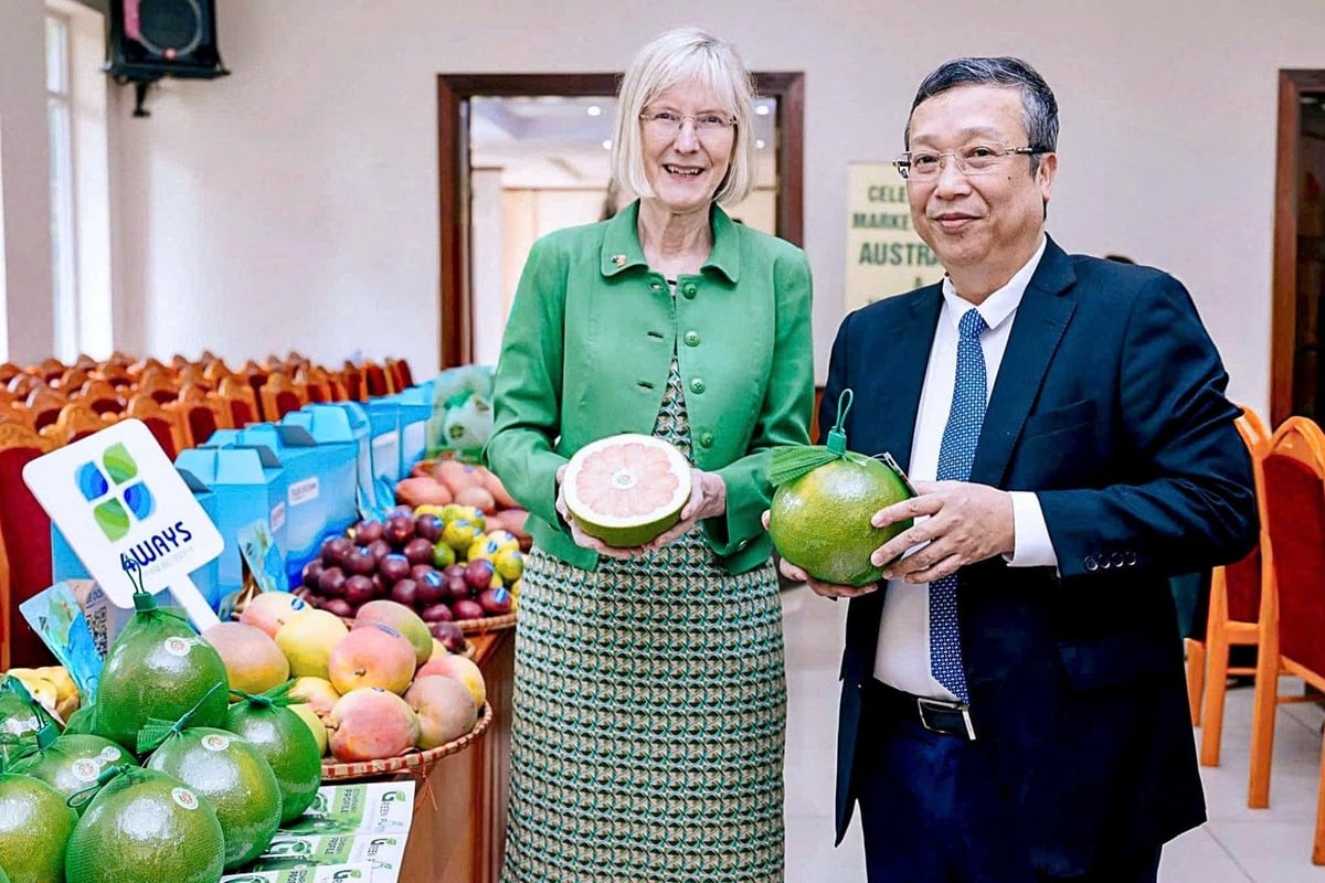 Deputy Minister Hoang Trung introducing the fruit to Australia’s Ambassador to Viet Nam, H.E. Ms. Gillian Bird. Photo: Bao Thang. Deputy Minister Hoang Trung introducing the fruit to Australia’s Ambassador to Viet Nam, H.E. Ms. Gillian Bird. Photo: Bao Thang.