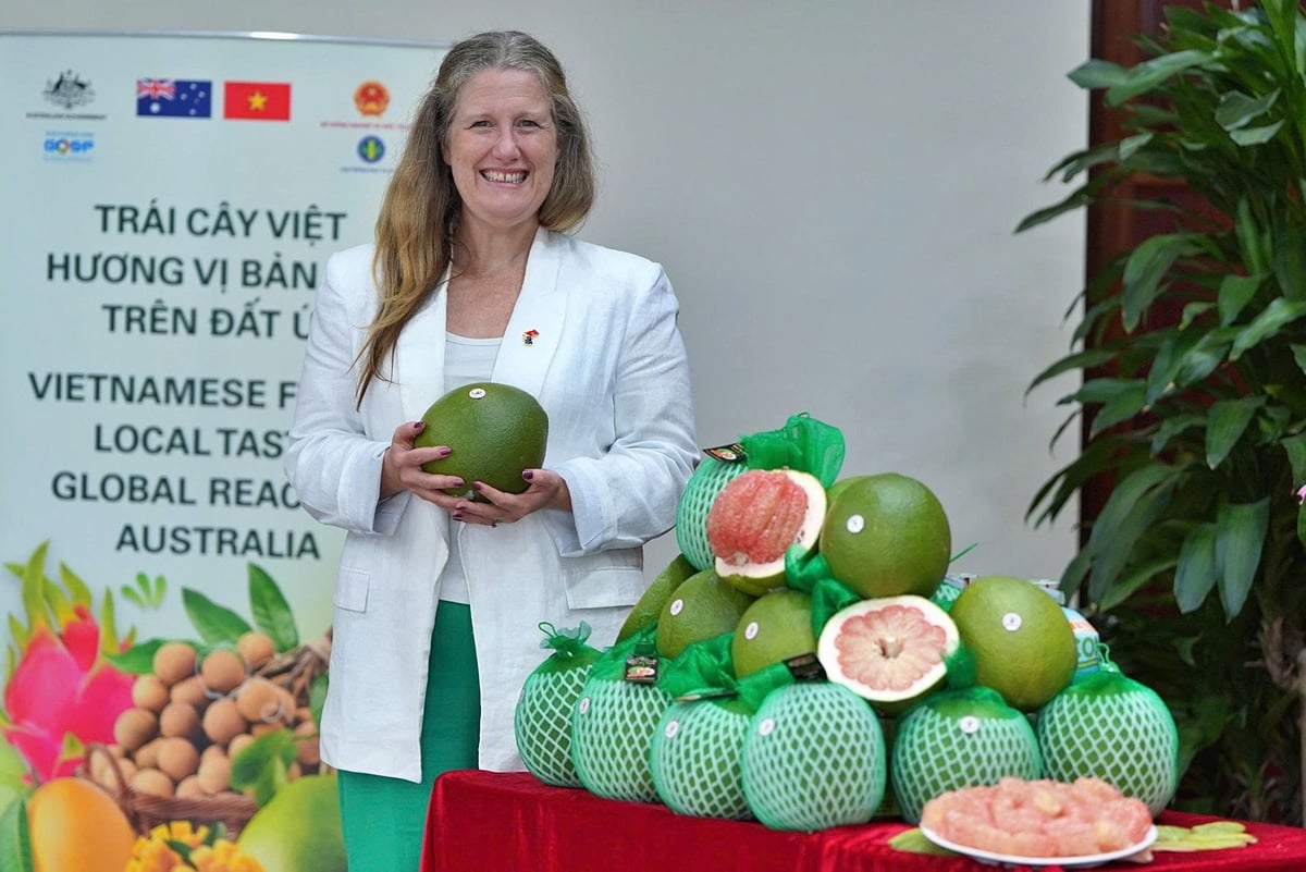 Ms. Monica Finlayson, Agricultural Counsellor at the Australian Embassy in Vietnam. Photo: Bao Thang. Ms. Monica Finlayson, Agricultural Counsellor at the Australian Embassy in Vietnam. Photo: Bao Thang.
