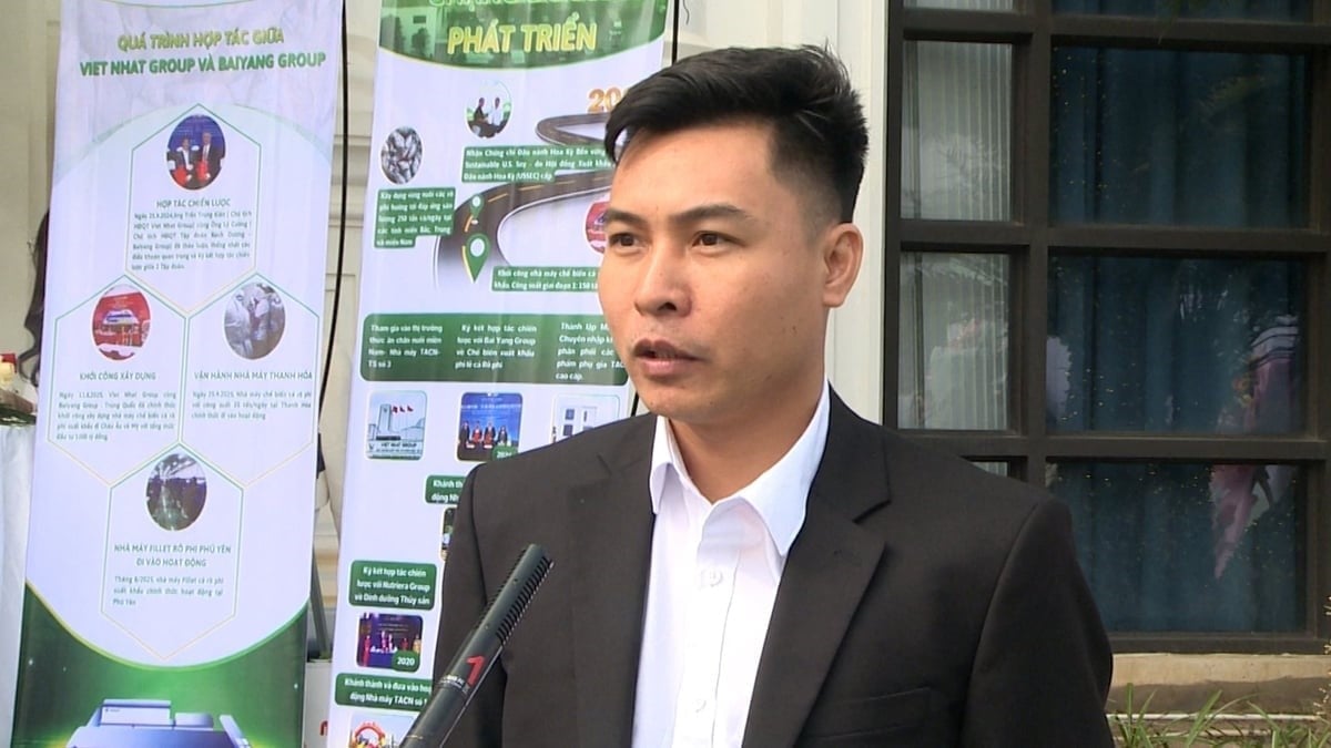 Mr. Ngo Minh Ket, Director of the Tilapia Development Project at Viet Nhat Group. Photo: Doan Phong.