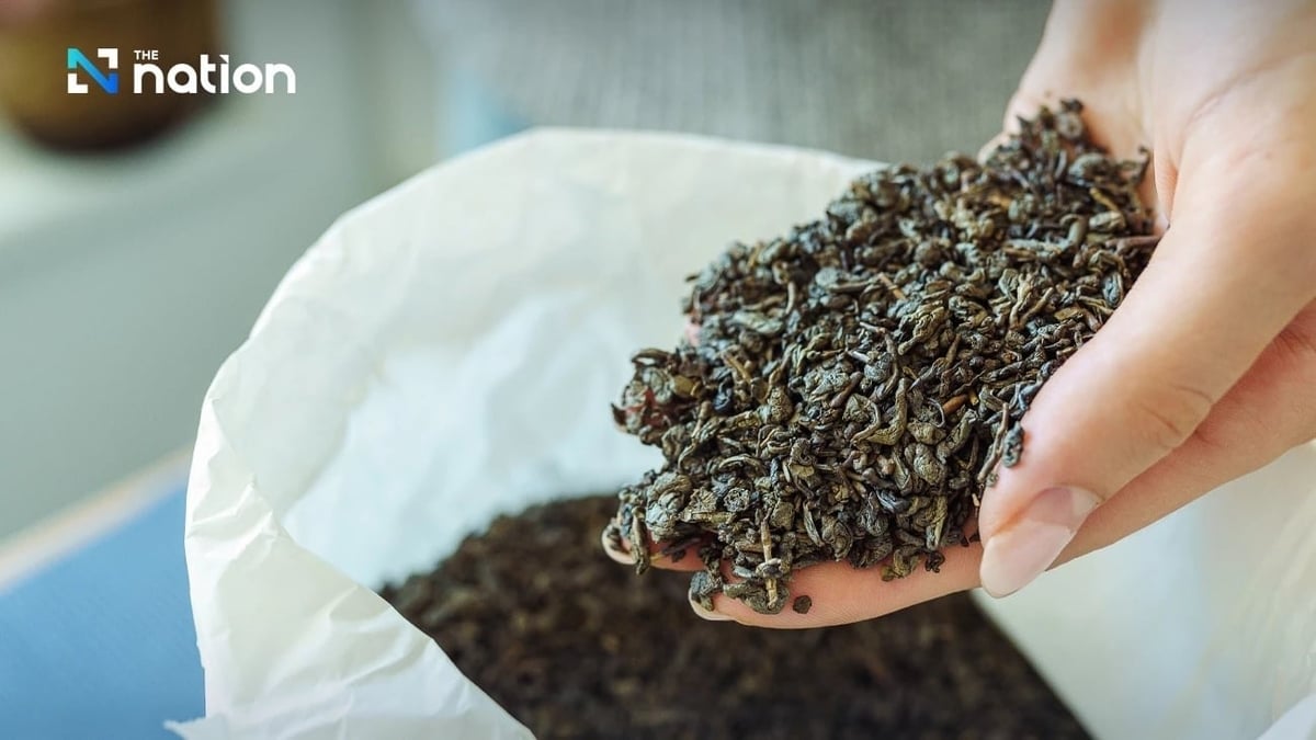 The Thai tea market is projected to continue growing at an average annual rate of 2.2% until 2029. Photo: Nationthailand. The Thai tea market is projected to continue growing at an average annual rate of 2.2% until 2029. Photo: Nationthailand.