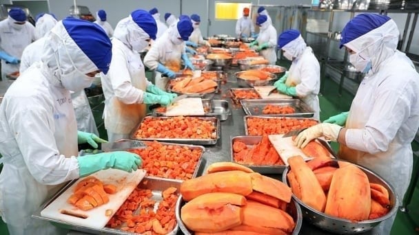 Vietnamese agricultural products are now present in more than 180 countries and territories, affirming the position of a dynamic and deeply integrated agriculture. Photo: QL.