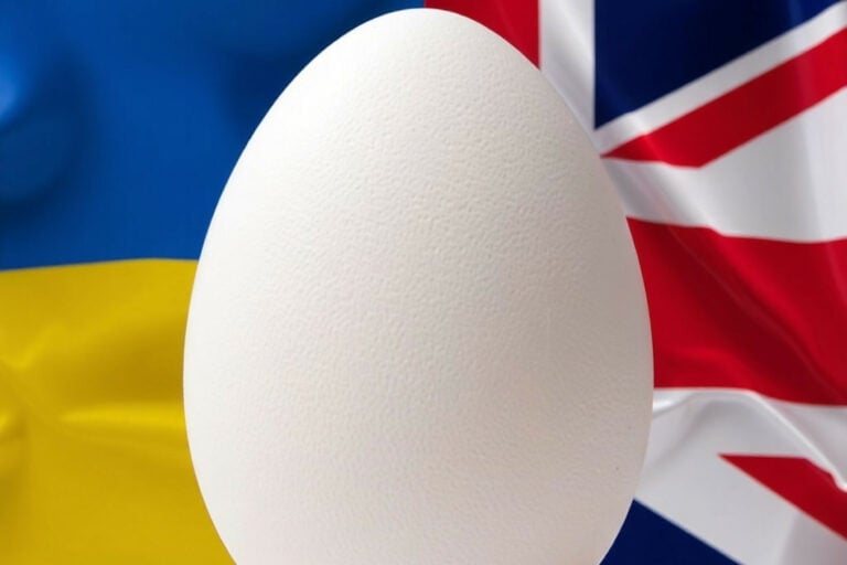 It is reported that the UK ranked second among the largest export markets for Ukrainian eggs in 2025. Photo: This image was created with the help of AI (Reve.art).