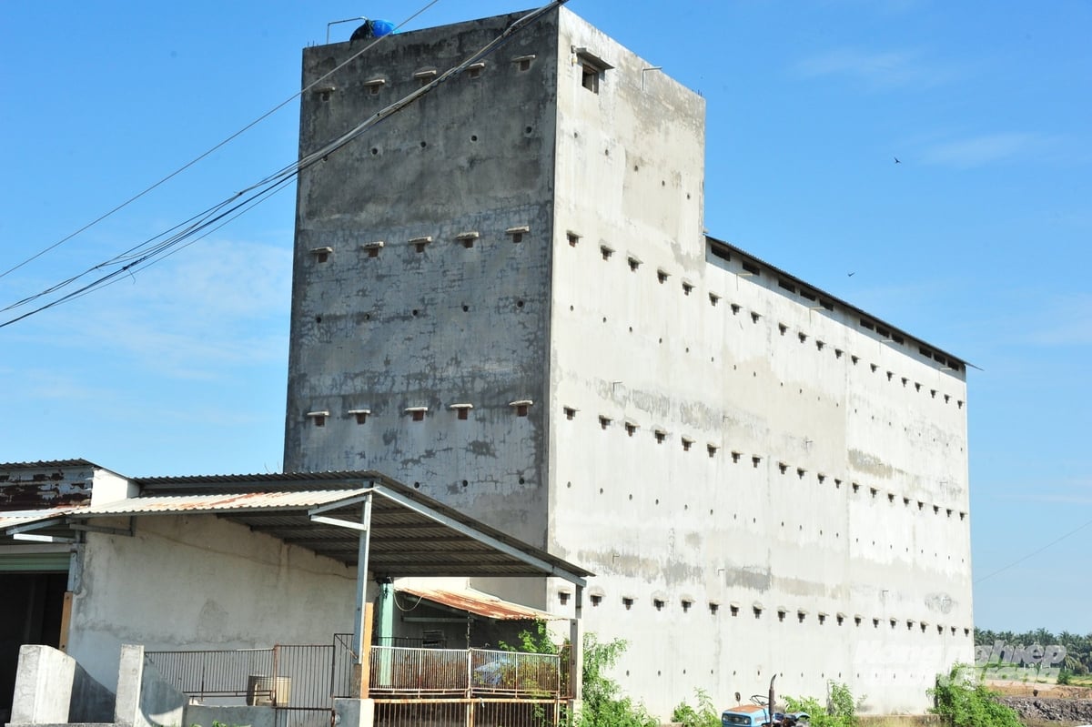 An Giang province currently leads the country with 4,475 swiftlet houses. Photo: Trung Chanh.