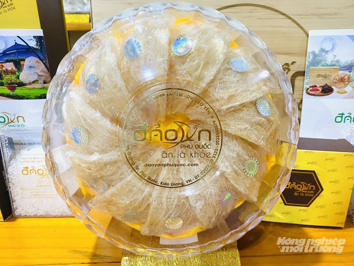 An Giang is promoting the development of the 'An Giang Bird’s Nest' brand based on high quality and traceability. Photo: Trung Chanh.