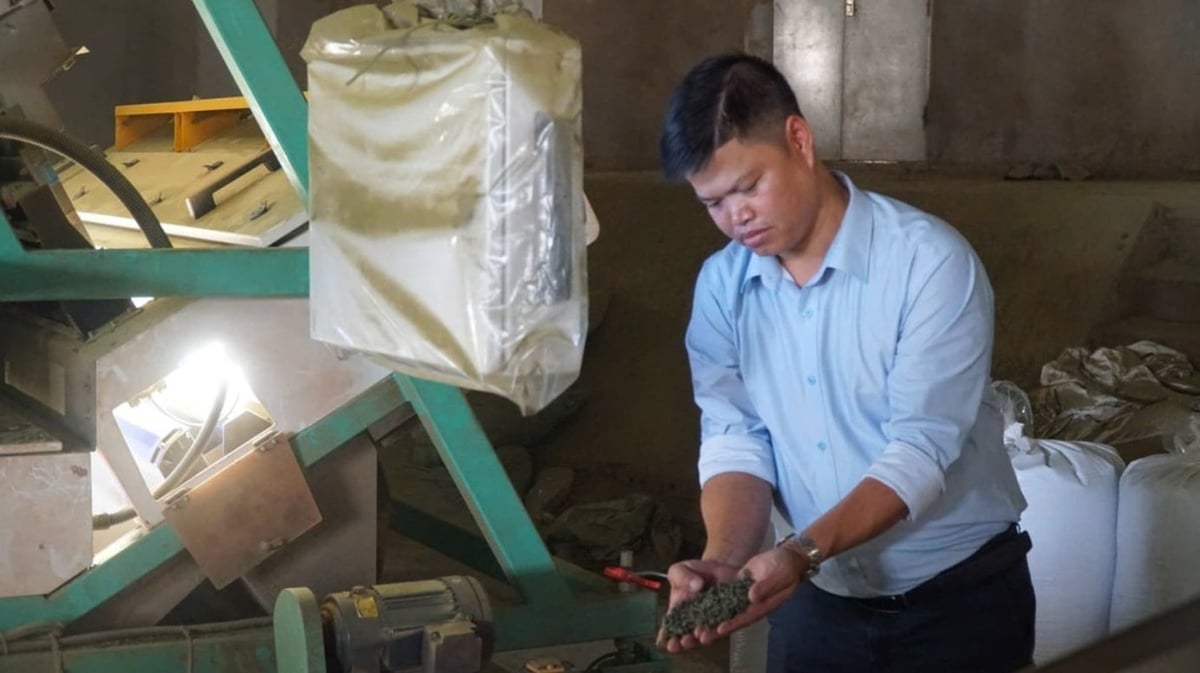 Do Viet Trung has invested more than VND 40 billion in the company’s tea-processing system. Photo: Duc Binh.
