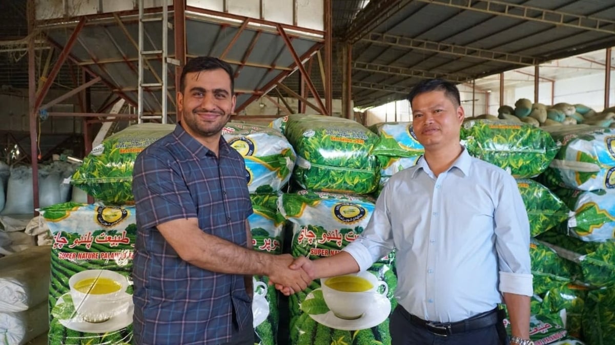 Nader Alam (left) visits the factory to evaluate the tea quality. Photo: Duc Binh.