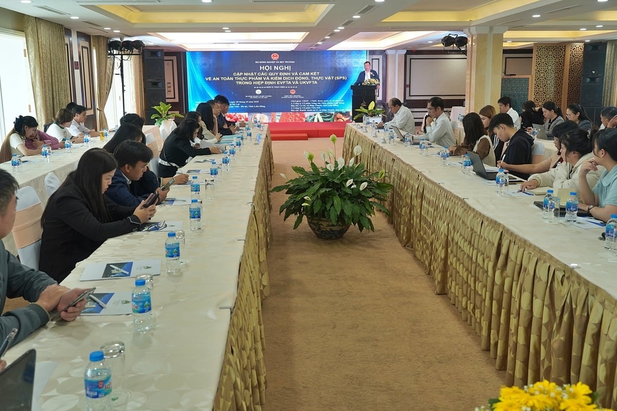 The conference attracted the attention and participation of hundreds of delegates both in person and online. Photo: Bao Thang. The conference attracted the attention and participation of hundreds of delegates both in person and online. Photo: Bao Thang.