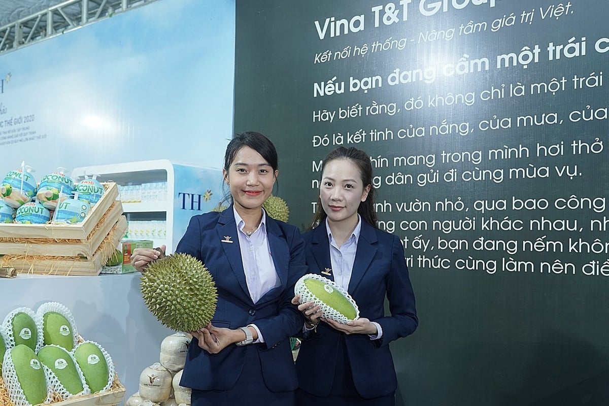 Vina T&T’s exported fruits, including durian, mango, and dragon fruit. Photo: Bao Thang.
