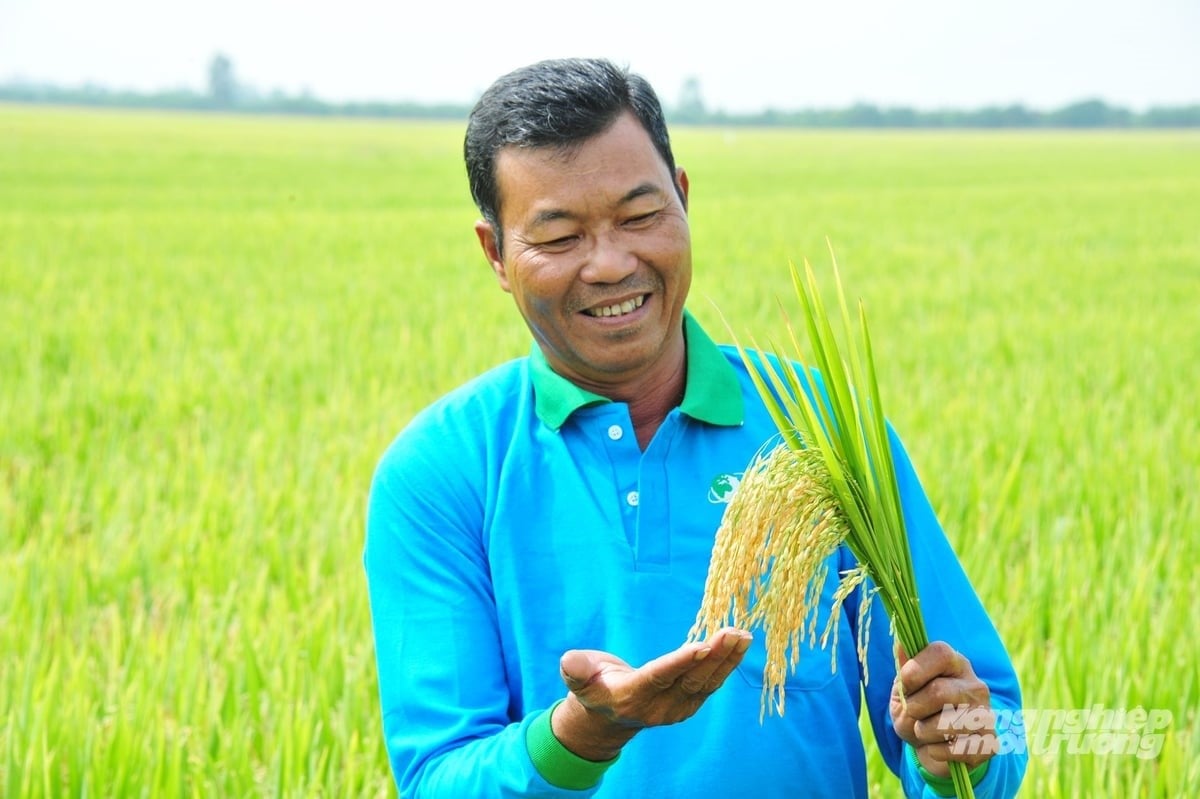 An Giang farmers are delighted beside rice fields heavy with grain, a testament to the effectiveness of high-quality rice cultivation associated with cost reduction and profit increase. Photo: Le Hoang Vu. An Giang farmers are delighted beside rice fields heavy with grain, a testament to the effectiveness of high-quality rice cultivation associated with cost reduction and profit increase. Photo: Le Hoang Vu.