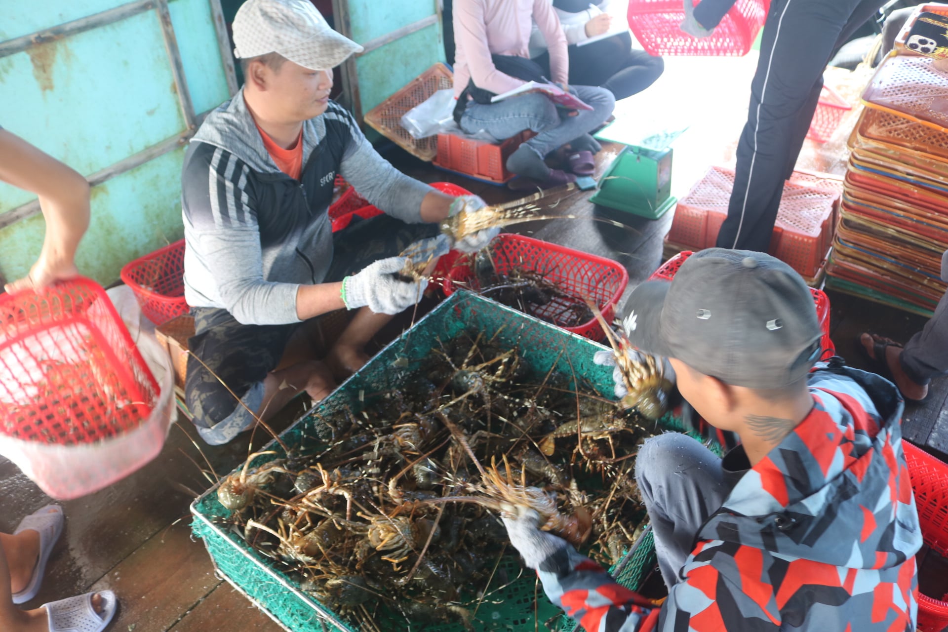 The demand for fresh seafood consumption at the end of the year is opening up significant growth potential for Vietnam's seafood exports. Photo: Kim So.