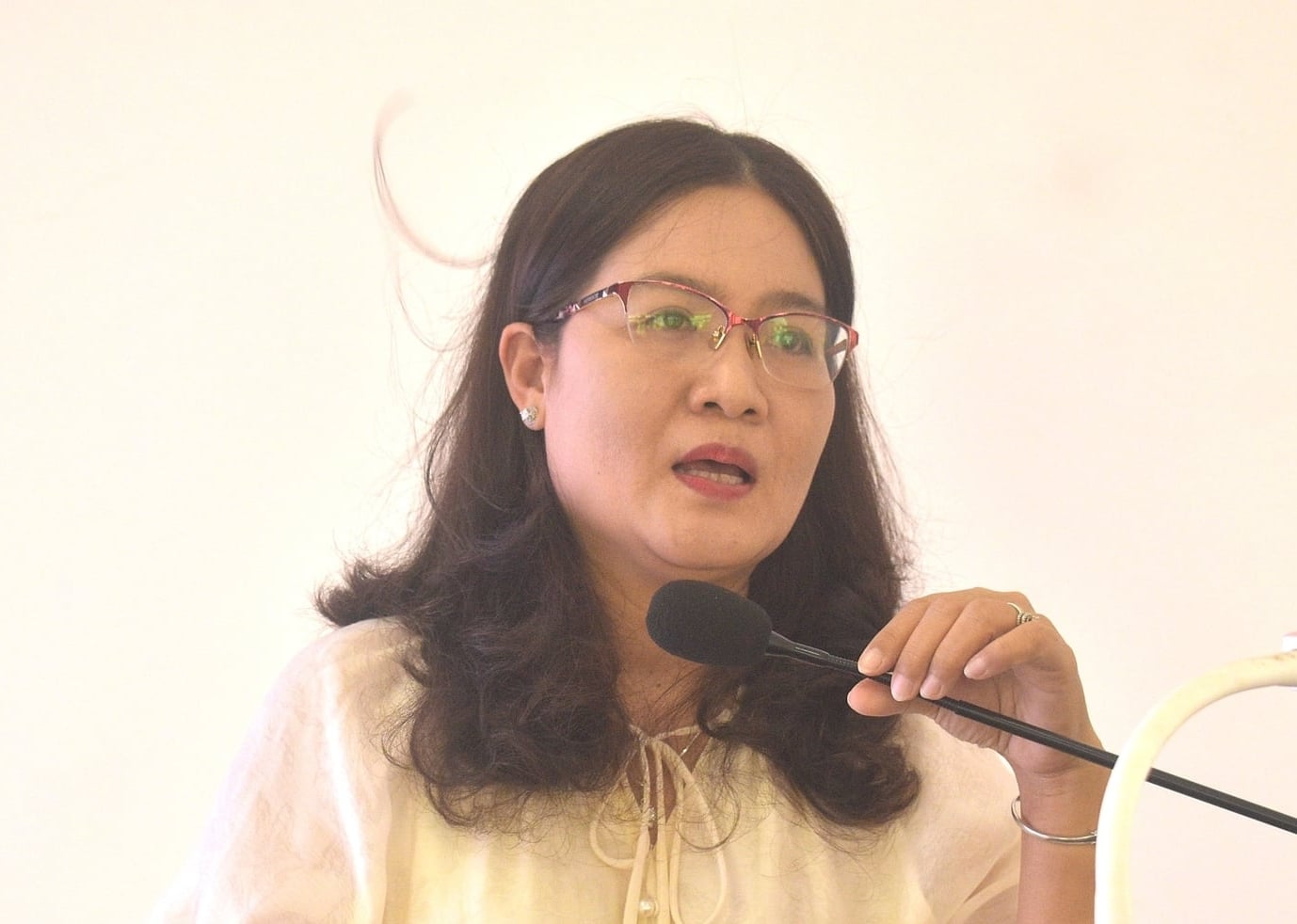 Dr. Tran Thi My Hanh, Head of the Plant Protection Department – ​​Southern Fruit Tree Institute. Photo: Minh Dam.