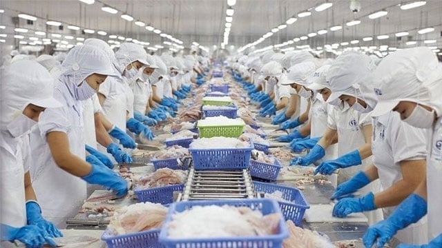Viet Nam's seafood exports surpass USD 11 billion for the first time in 2025. Photo: VAN. Viet Nam's seafood exports surpass USD 11 billion for the first time in 2025. Photo: VAN.