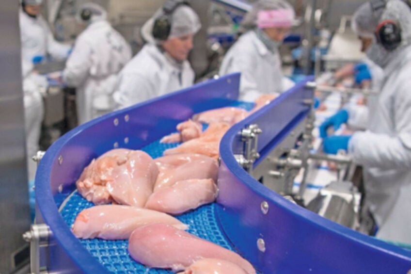 Poultry production growth is expected to stay high in 2026. Photo: Mark Pasveer.