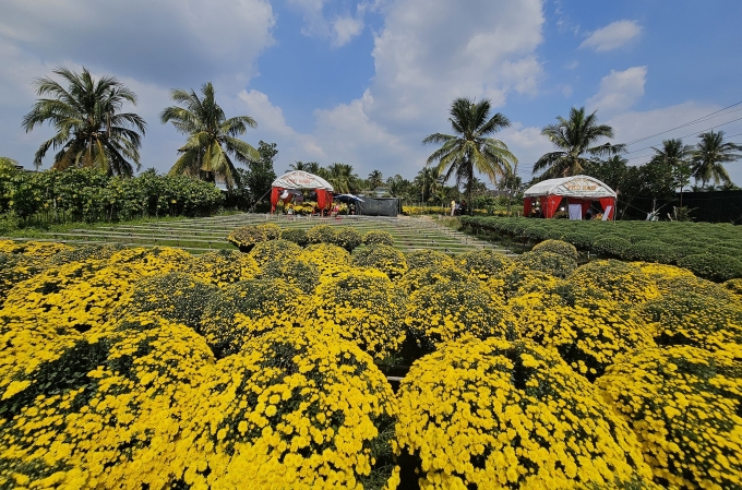 Livestream booths in people's gardens. Photo: Thuong Son