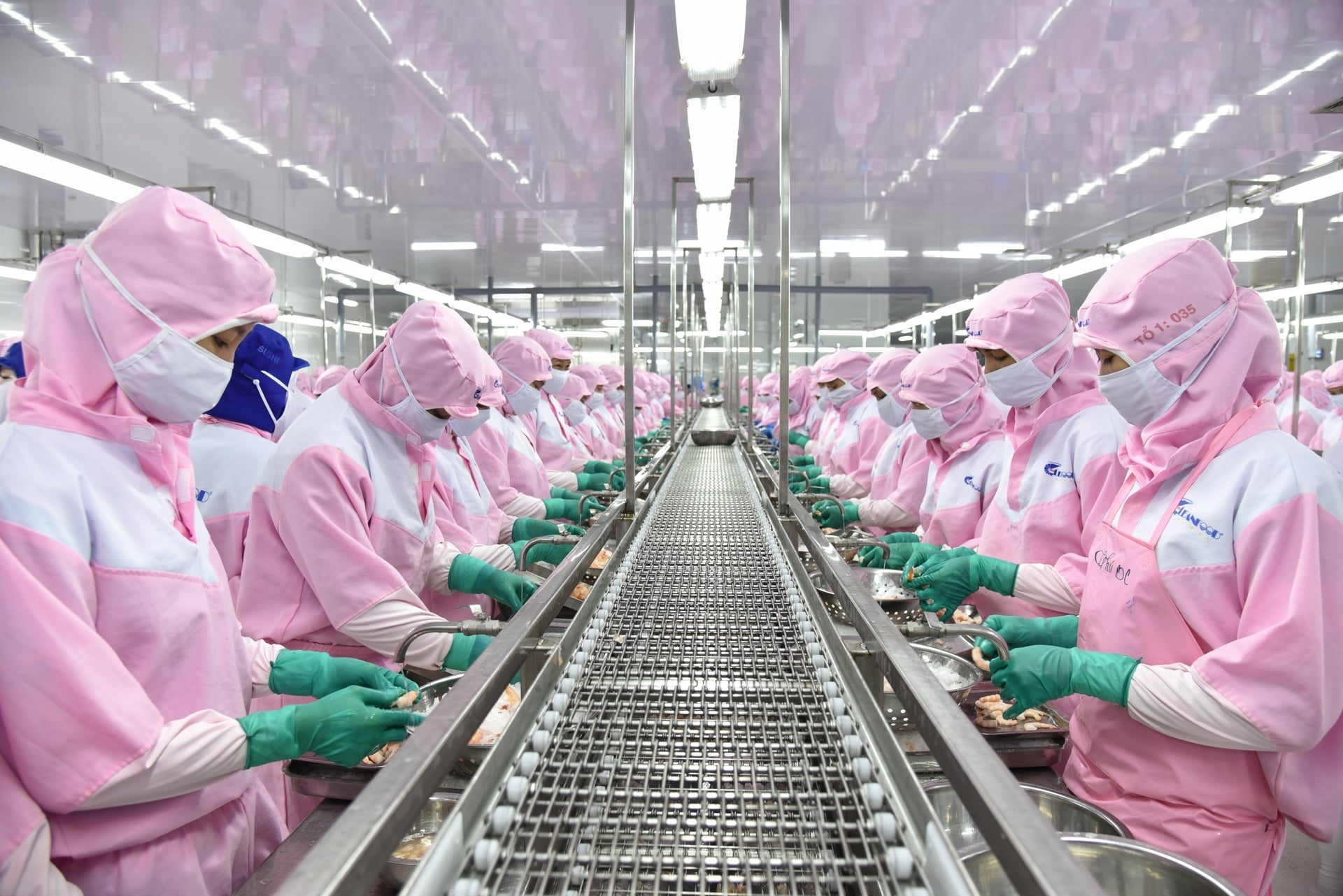 Shrimp exports in 2025 reached $4.65 billion, a 20% increase compared to 2024. Photo: Hong Tham.