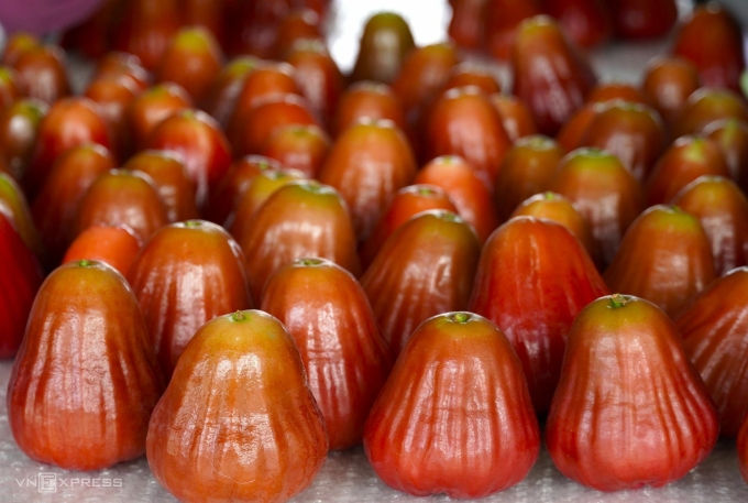 San Tien pink plum has a beautiful color, is crispy, and sweet. Photo: Chuc Ly
