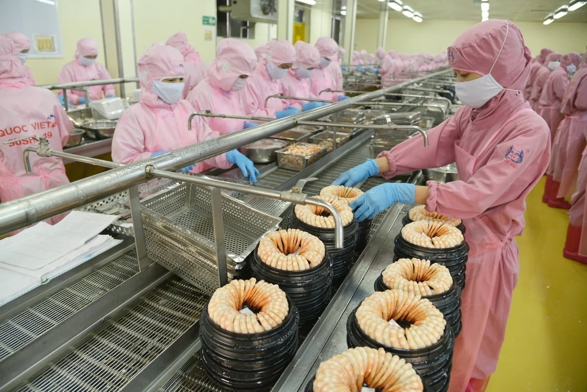 Shrimp continues to lead the sector, with export turnover in the first two months reaching USD 689.5 million, up nearly 20% compared to the same period. Photo: Hong Tham.