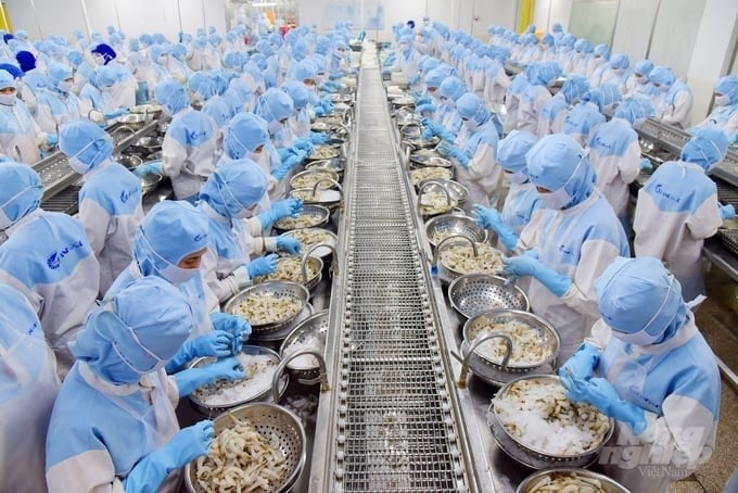 Viet Nam's shrimp exports in the first two months of 2026 reached USD 690 million, up 20% compared to the same period last year. Photo: HT.