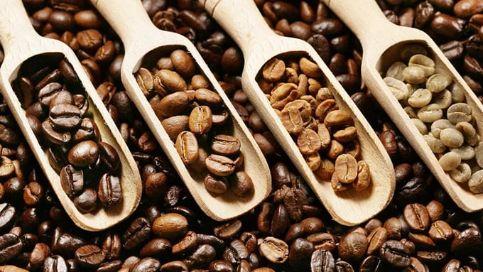 Latest domestic and global coffee prices on March 23, 2026