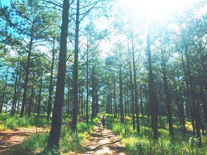 Viet Nam faces significant headwinds in international trade, particularly from the U.S. Viet Nam faces significant headwinds in international trade, particularly from the U.S.