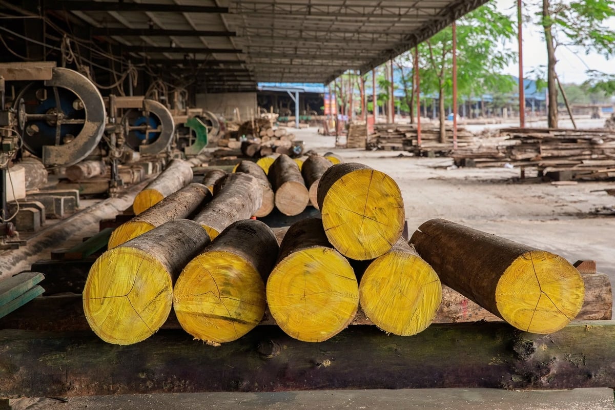 Viet Nam’s wood exports enter high-growth era amid constraints. Viet Nam’s wood exports enter high-growth era amid constraints.