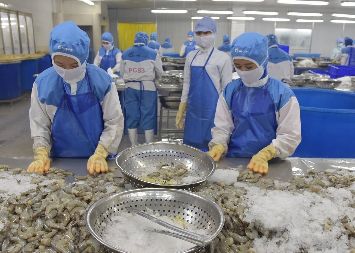 Acting Minister of Industry and Trade of Vietnam Le Manh Hung proposed that the Russian Federation and the EAEU further open their markets to Vietnamese seafood. Photo: Hong Tham.