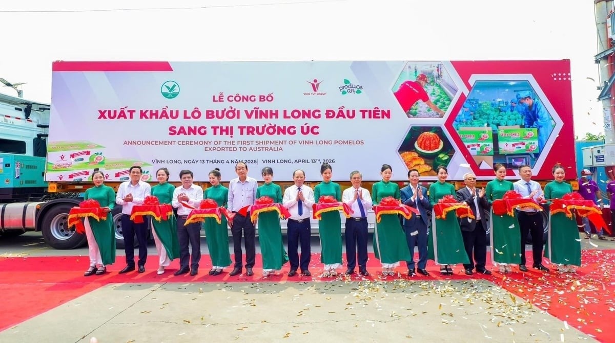At Kim Thanh Ben Tre Factory (Phu Ngai hamlet, Giao Long commune, Vinh Long), the Vinh Long Provincial People’s Committee, in coordination with Vina T&T Group, held an announcement ceremony of the first shipment of Vinh Long pomelos exported to the Australian market. Photo: Thanh Son.