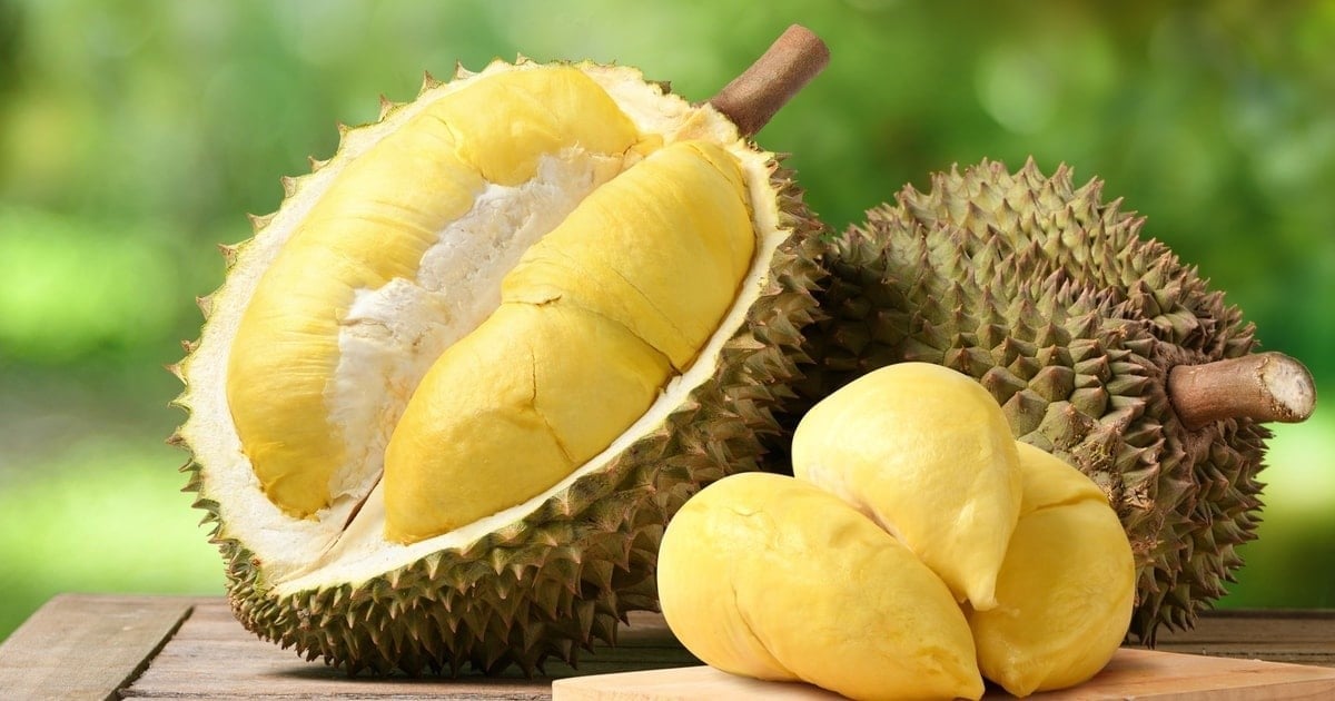 Chain linkage is a mandatory requirement for the sustainable development of the durian sector. Photo: P.H.