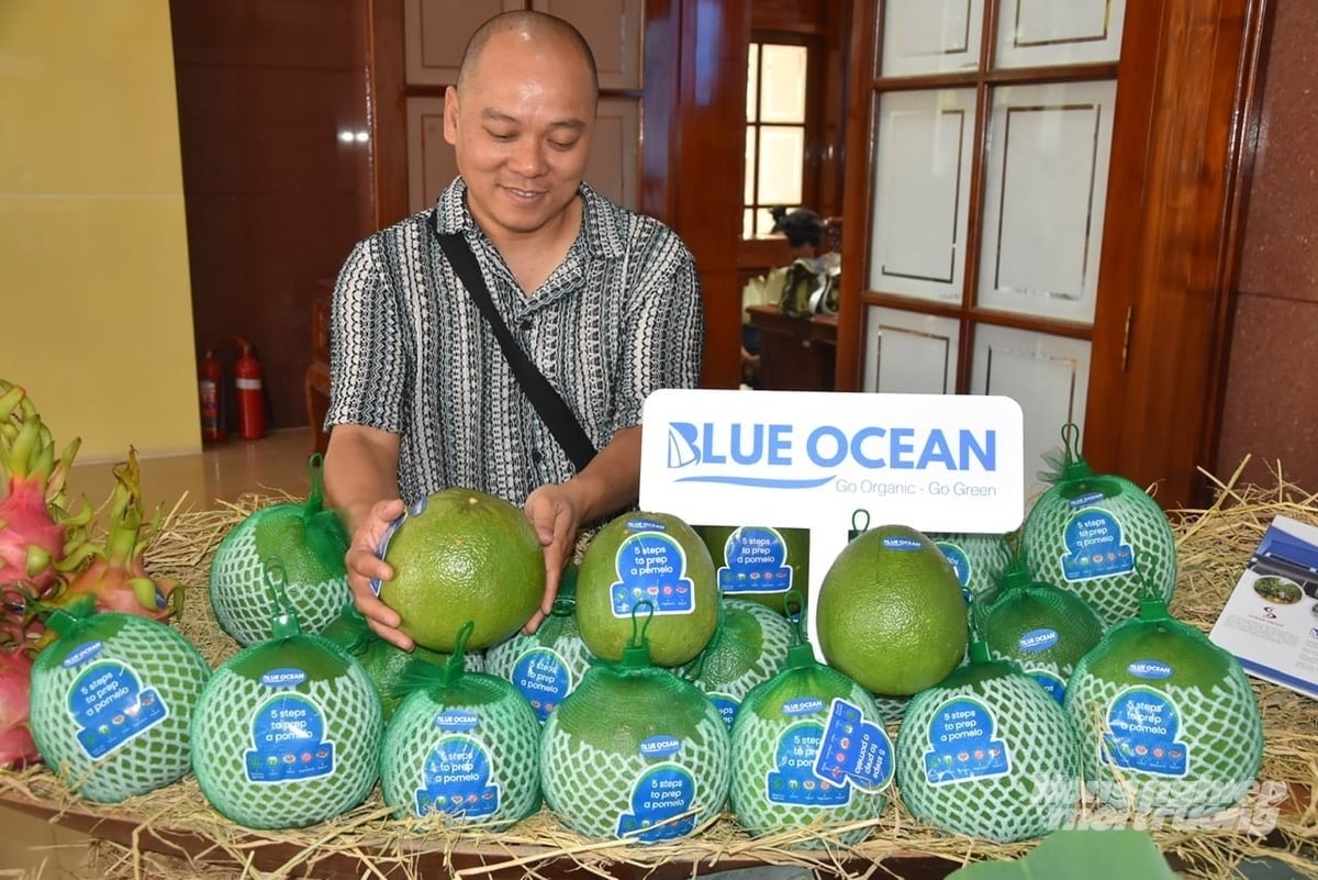 The initial success of Vietnamese pomelo not only creates opportunities for this product itself but also generates spillover for other Vietnamese fruits. Photo: Le Hoang Vu.