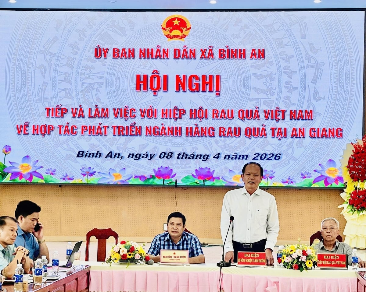 The An Giang Department of Agriculture and Environment held a working session with the Viet Nam Fruit and Vegetables Association to discuss orientations for cooperation in developing the Tac Cau pineapple sector. Photo: Le Hoang Vu. The An Giang Department of Agriculture and Environment held a working session with the Viet Nam Fruit and Vegetables Association to discuss orientations for cooperation in developing the Tac Cau pineapple sector. Photo: Le Hoang Vu.