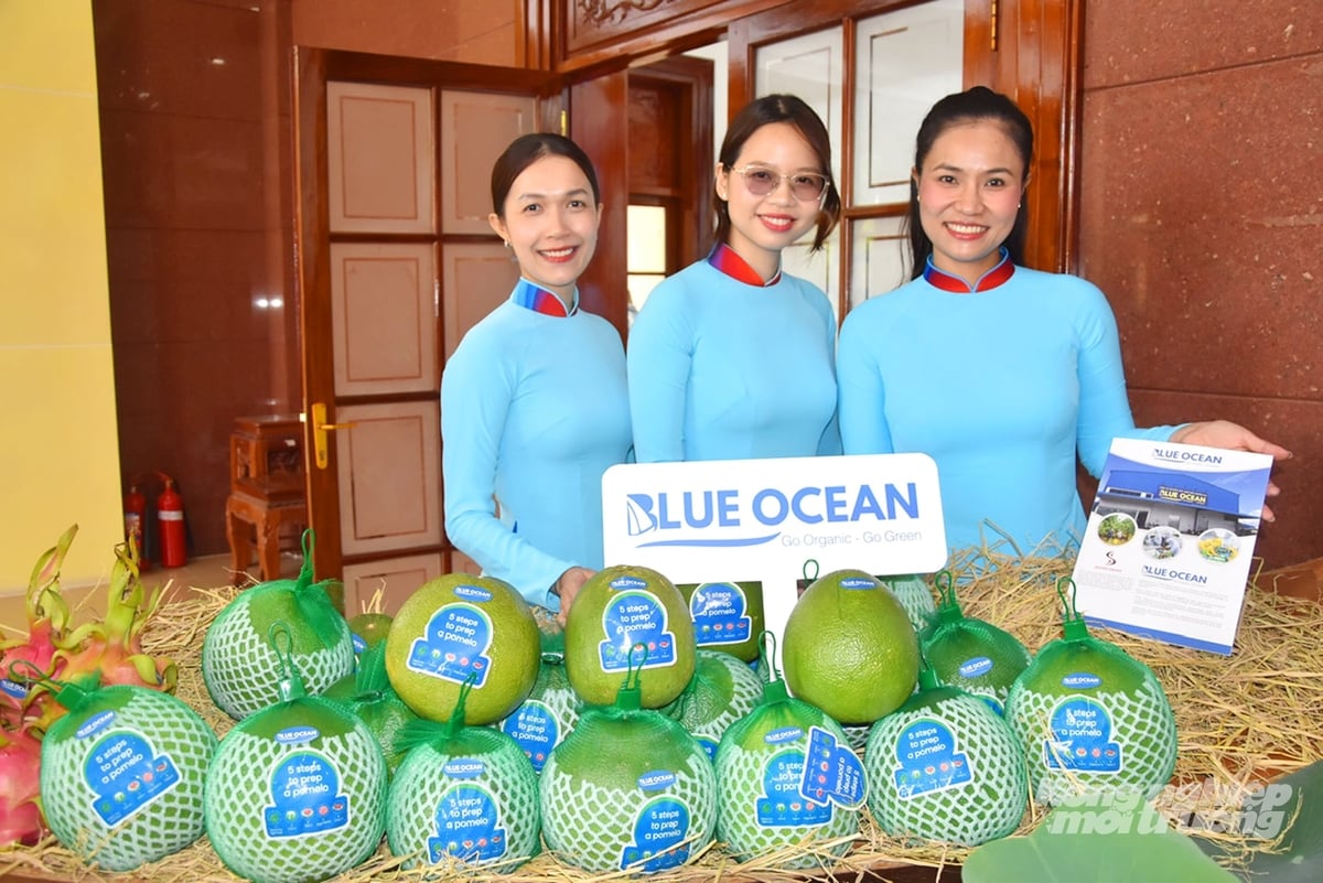 Dong Thap pomelo products are packaged according to export standards and displayed at the event, ready to enter the Australian market with strict requirements on quality and traceability. Photo: Le Hoang Vu.