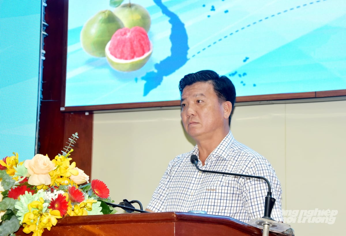 Mr. Le Chi Thien, Deputy Director of the Dong Thap Department of Agriculture and Environment, said the province currently has its first pomelo growing area qualified for export to the Australian market. Photo: Le Hoang Vu.