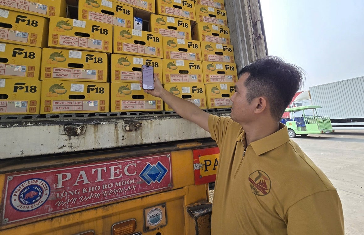 Scanning the QR code allows tracking of the product’s journey, ensuring the shipment transparency. Photo: Hoang Nghia.