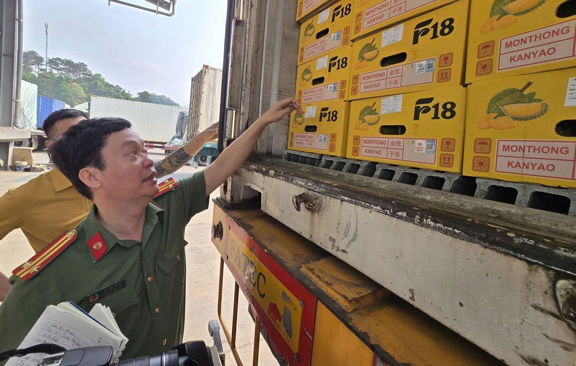 Each durian is assigned a unique QR code, enabling full traceability of its entire journey and ensuring product authenticity. Photo: Hoang Nghia.