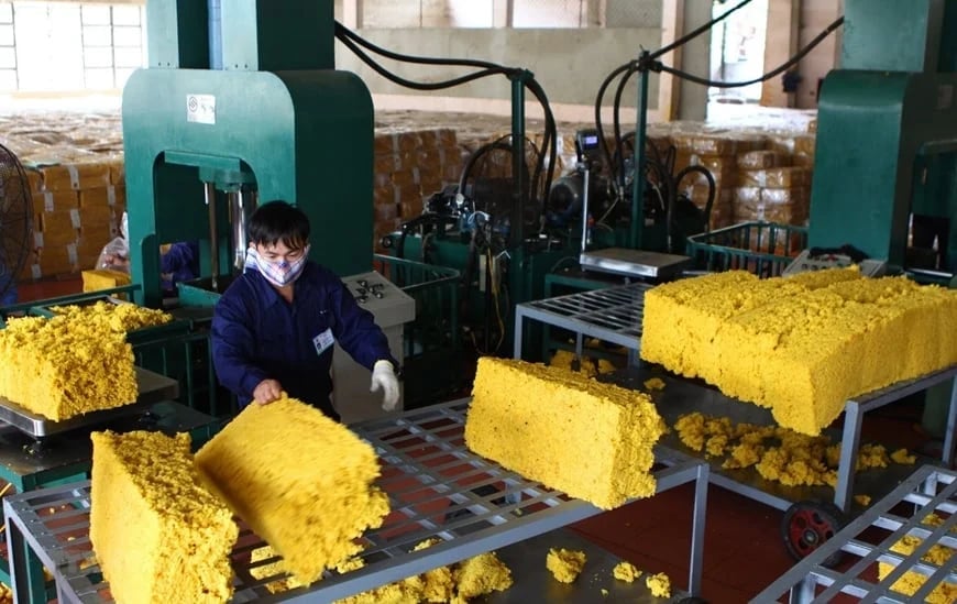 Vietnam’s rubber exports in Q1/2026 were estimated at 411,000 tons, valued at $ 752 million. Illustrative photo. Vietnam’s rubber exports in Q1/2026 were estimated at 411,000 tons, valued at $ 752 million. Illustrative photo.