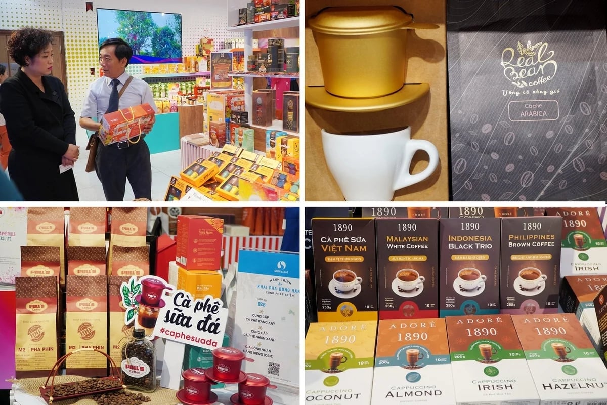 Vietnam has a strong advantage in Robusta coffee, the world’s leading variety in terms of production. Photo: Nguyen Thuy.