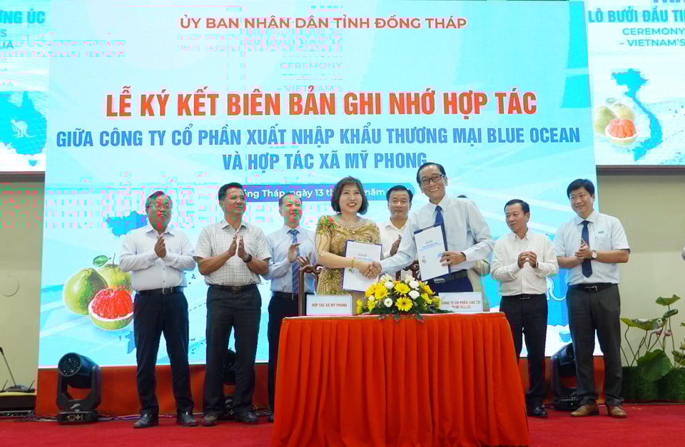 Representative of Blue Ocean Import-Export Trading JSC signs a memorandum of understanding with My Phong Cooperative on linking pomelo supply chains for export to the Australian market. Photo: Le Hoang Vu.